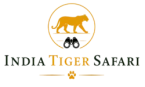 India Tiger Safari