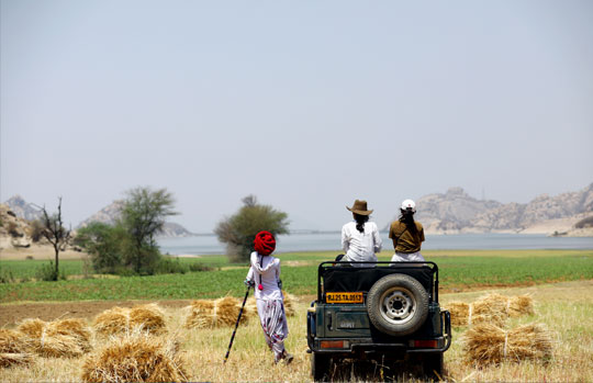 Jawai Leopard Safari