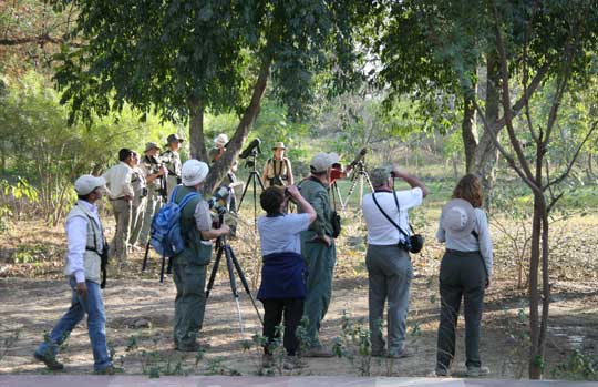 National Chambal Gharial Sanctuary