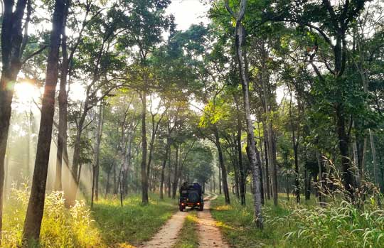 Tadoba Andhari Tiger Reserve