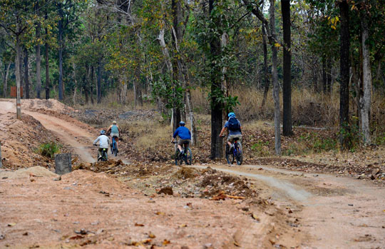 India Tiger Safari