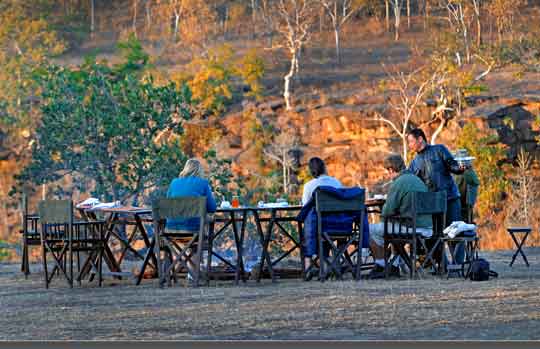 India Tiger Safari