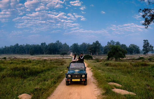 India Tiger Safari